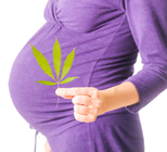 קנאביס בהריון: האם מזיק לעובר?-תמונה